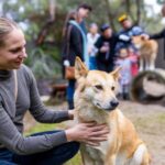 Perth: WA Wildlife Hospital and Native Fauna Encounter Tour - The Value of the Experience