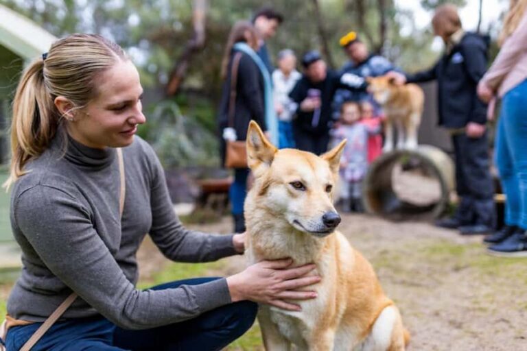Perth: WA Wildlife Hospital and Native Fauna Encounter Tour - The Value of the Experience