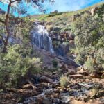 Perth: Waterfalls, Wildflowers & Wandoo Hiking Experience - Who Should Consider This Tour?