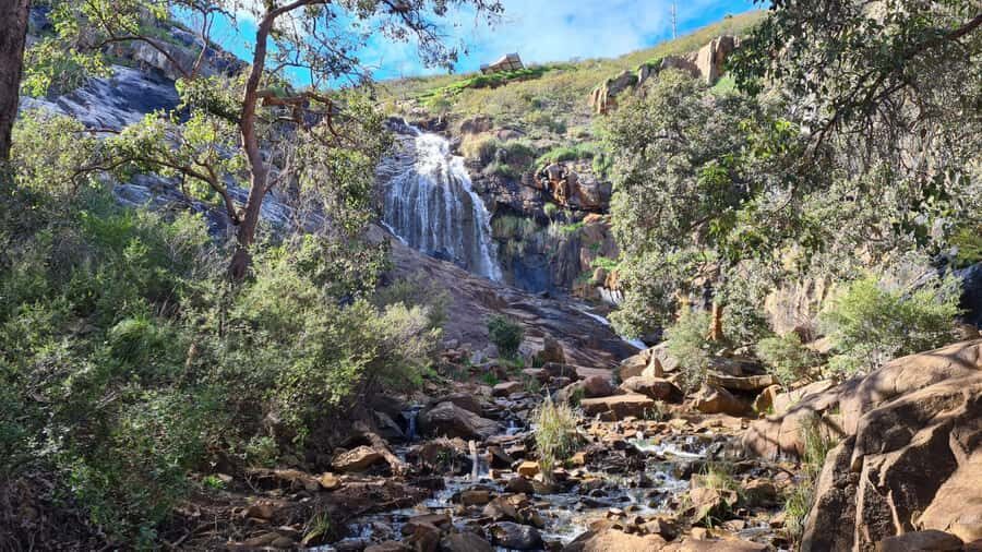 Perth: Waterfalls, Wildflowers & Wandoo Hiking Experience - Who Should Consider This Tour?