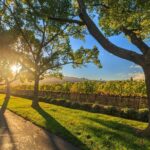 Perth Wildlife Park & City Highlights - Premium Small Group Tour - What to Expect from the Tour