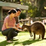 Perth Wildlife Park & City Highlights - Small Group Tours - The Sum Up