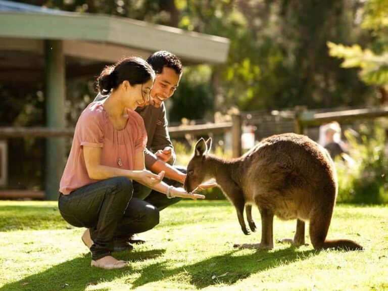 Perth Wildlife Park & City Highlights - Small Group Tours - The Sum Up