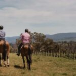 Petaluma: Horseback Riding and Wine Tasting Tour - What You Can Expect Throughout