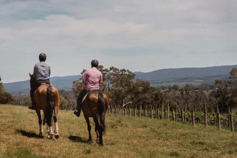 Petaluma: Horseback Riding and Wine Tasting Tour - What You Can Expect Throughout