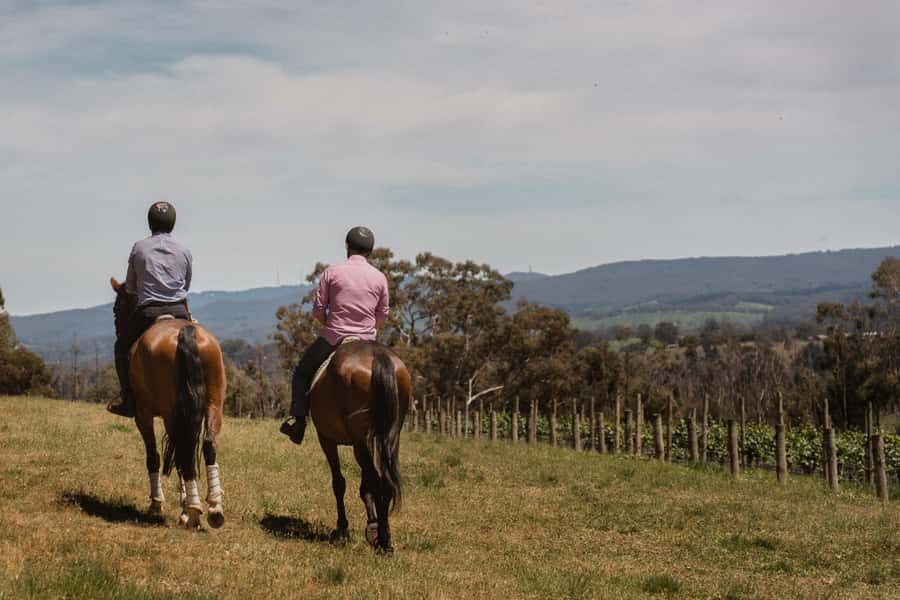 Petaluma: Horseback Riding and Wine Tasting Tour - What You Can Expect Throughout