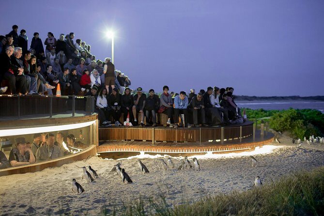 Phillip Island Day Trip from Melbourne with Penguin Plus Viewing Platform - Transport, Group Size, and Overall Value