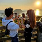 Phillip Island: Golden Hour Penguin Express Tour - Key Points