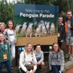 Phillip Island Medium Size Group Tour - What to Expect From Each Part of the Tour