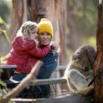Phillip Island Penguin and Koala Highlights Day-Trip from Melbourne - What’s Included and What to Expect