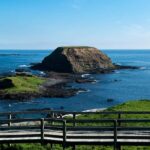 Phillip Island Penguin Direct Sunset Tour - Who This Tour Is Best For