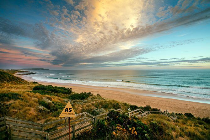 Phillip Island Penguin Parade Day Trip with Koalas from Melbourne - Authentic Wildlife Encounters and the Penguin Parade