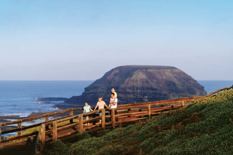 Phillip Island: Penguins and Wildlife Full-Day Tour - First Stop: Koala Conservation Reserve