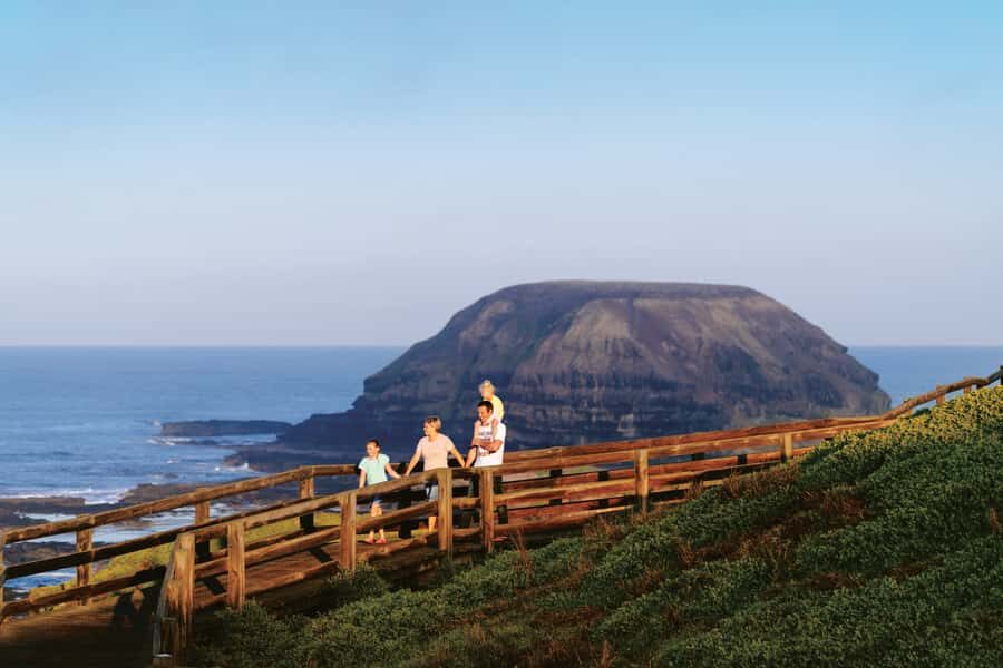 Phillip Island: Penguins and Wildlife Full-Day Tour - First Stop: Koala Conservation Reserve