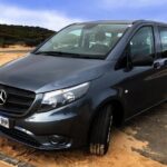 Phillip Island Penguins Private Adventure - What Makes This Tour Stand Out?