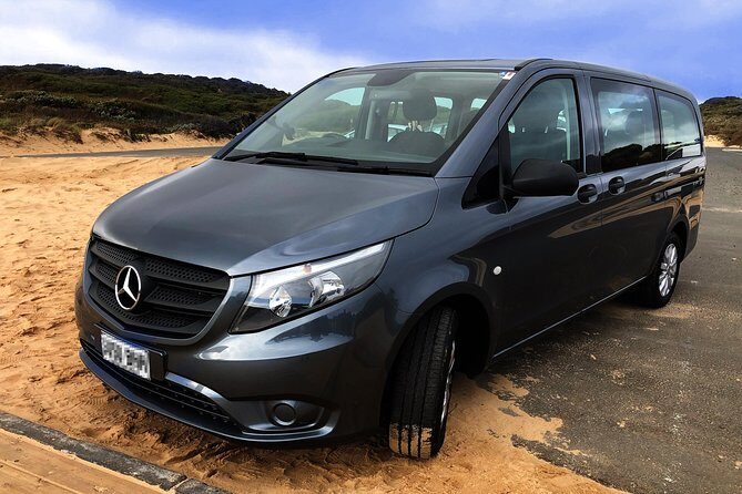 Phillip Island Penguins Private Adventure - What Makes This Tour Stand Out?