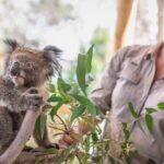 Phillip Island Penguins & Wildlife Day Tour from Melbourne - The Experience in Detail: What You’ll Really Get