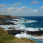 Phillip Island: Private Guided Tour with Penguin Parade - In-Depth Look at the Phillip Island Private Guided Tour