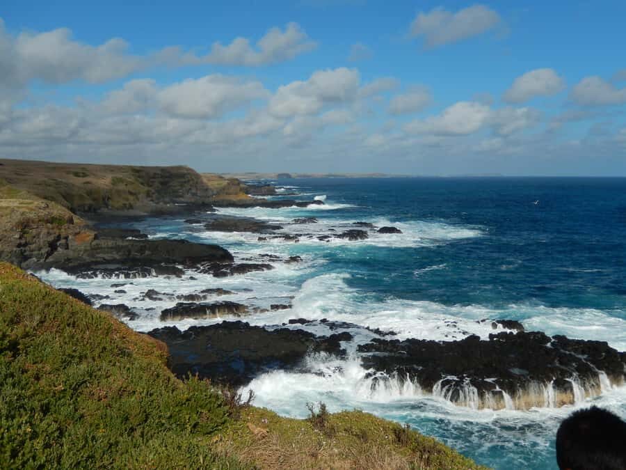 Phillip Island: Private Guided Tour with Penguin Parade - In-Depth Look at the Phillip Island Private Guided Tour