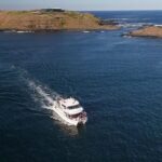 Phillip Island Seal-Watching Cruise - FAQ