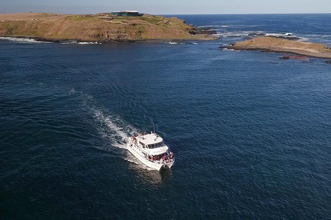 Phillip Island Seal-Watching Cruise - FAQ