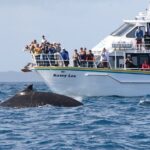Phillip Island Whale Watching Tour - Value and Practical Considerations