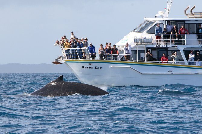 Phillip Island Whale Watching Tour - Value and Practical Considerations