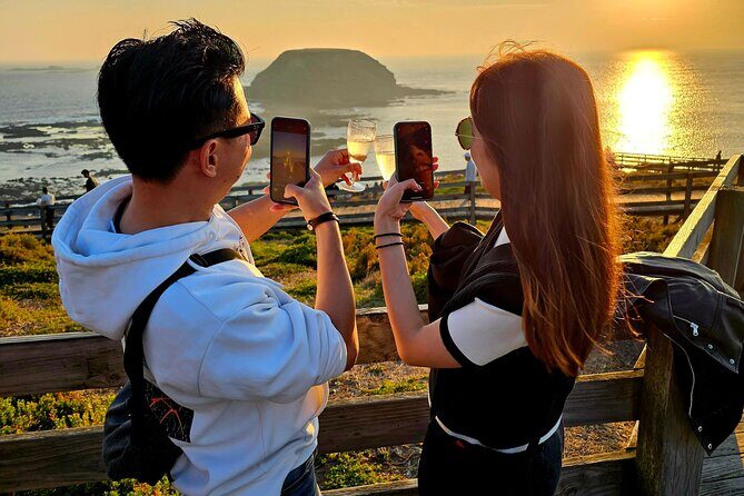 Phillip Island Wildlife Cruise and Penguin Tour from Melbourne - A Deep Dive into the Experience