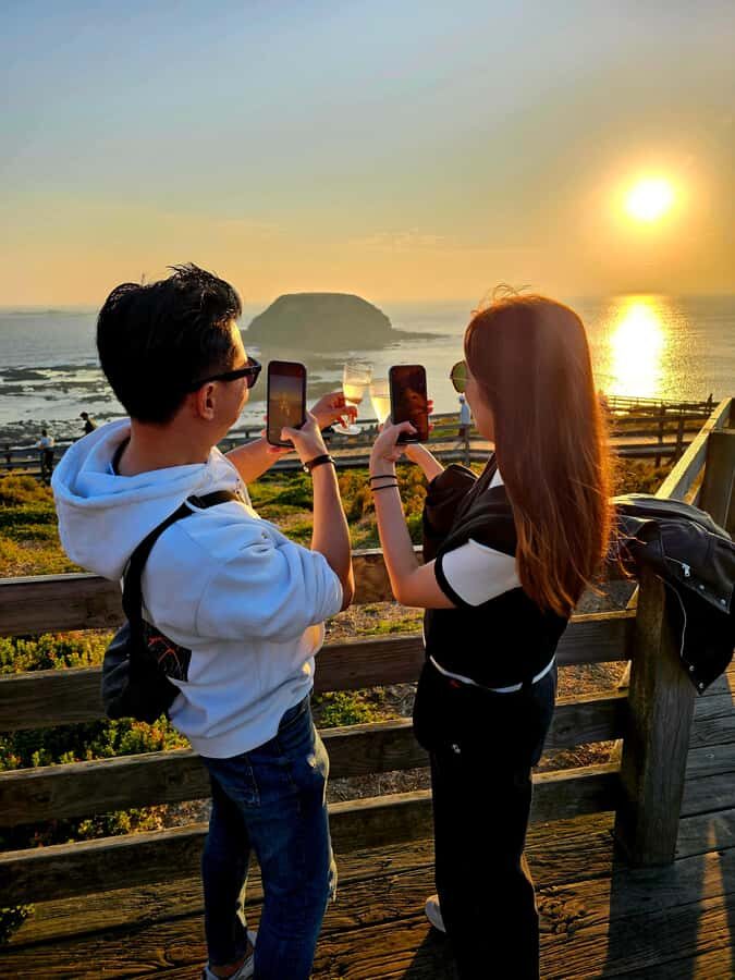 Phillip Island: Wine, Wildlife & Penguins with Gourmet Feast - The Winery Experience: Wine, Cheese, and Beautiful Views