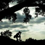 Photography Essentials Workshop in Sydney Harbour Foreshore - Who Would Benefit Most?