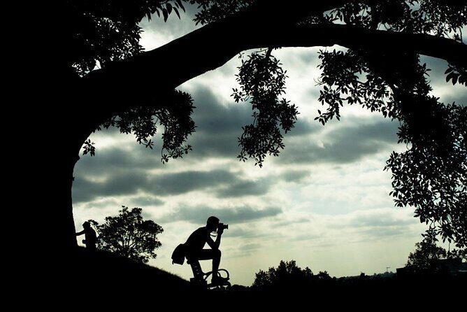 Photography Essentials Workshop in Sydney Harbour Foreshore - Who Would Benefit Most?