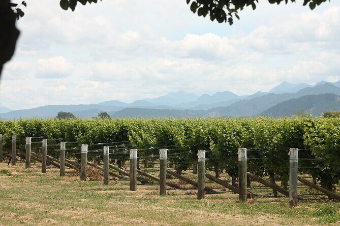 Picton & Blenheim Scenic Tour - The Itinerary: From Scenic Views to Tasty Treats