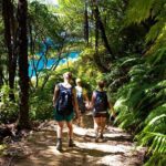 Picton Shore Excursion Kaipupu Sanctuary Water Taxi - Why This Tour is a Good Deal