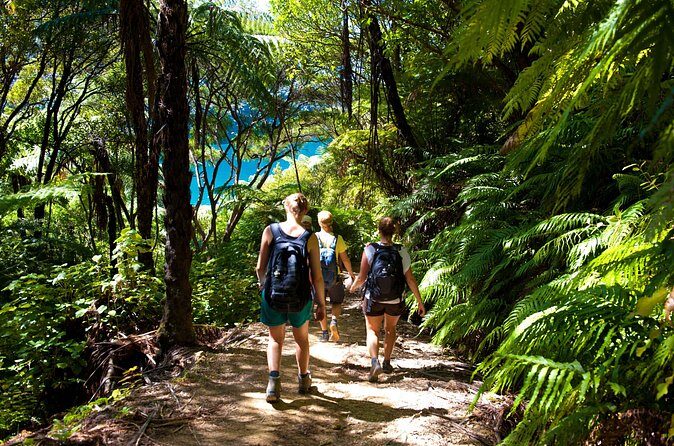 Picton Shore Excursion Kaipupu Sanctuary Water Taxi - Why This Tour is a Good Deal