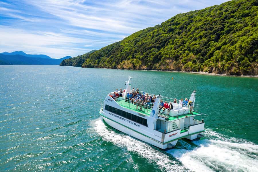 Picton Shore Excursion: Queen Charlotte Sounds Cruise - A Detailed Look at the Queen Charlotte Sounds Cruise