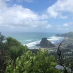 Piha Waitakere Rainforest Wine Tour from Auckland - Who Is This Tour Best For?