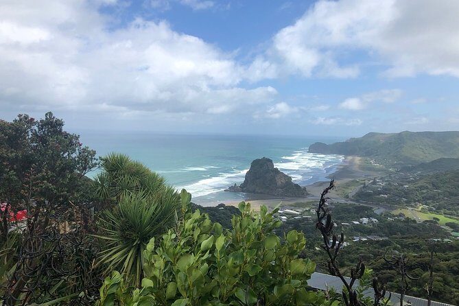 Piha Waitakere Rainforest Wine Tour from Auckland - Who Is This Tour Best For?