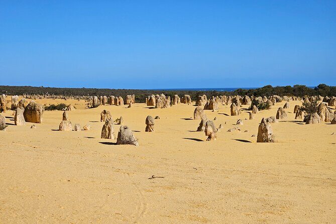 Pinnacle Day Adventure Tour - Final Thoughts: Is This Tour Worth It?