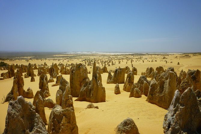 Pinnacles Desert Private Tour - Why This Tour Offers Good Value