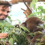 Pinnacles, Koalas, 4WD & Sandboarding Tour from Perth - What’s Included and What to Keep in Mind