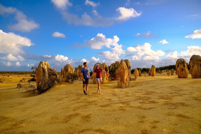 Pinnacles+Lancelin Sand Dune Impression Day Tour from Perth - What’s Included and What’s Not