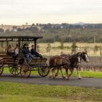 Pokolbin: Harvest the Hunter Horse Drawn Carriage Tour 3hrs - Who Will Love This Tour?