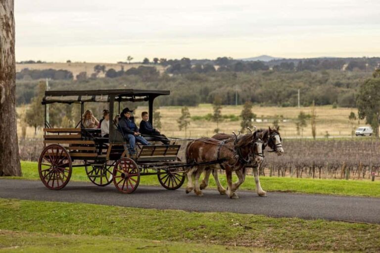Pokolbin: Harvest the Hunter Horse Drawn Carriage Tour 3hrs - Who Will Love This Tour?