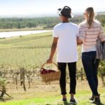 Pokolbin: Picnic & Wine Tasting at Audrey Wilkinson Vineyard - The Value Proposition