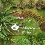 Polynesian culinary experience - Who Will Love This Tour?