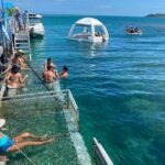 Ponton Day Trip SWIM with fishs All meals included & Transport - Authentic Encounters and Real-Life Feedback