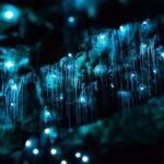 *Popular Tour* - Bay of Islands: Nature Adventure - 4hrs - Transportation, Booking, and Practicalities