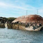 Port Adelaide: Dolphin and Ships Graveyard Cruise - The Voyage Begins: What to Expect