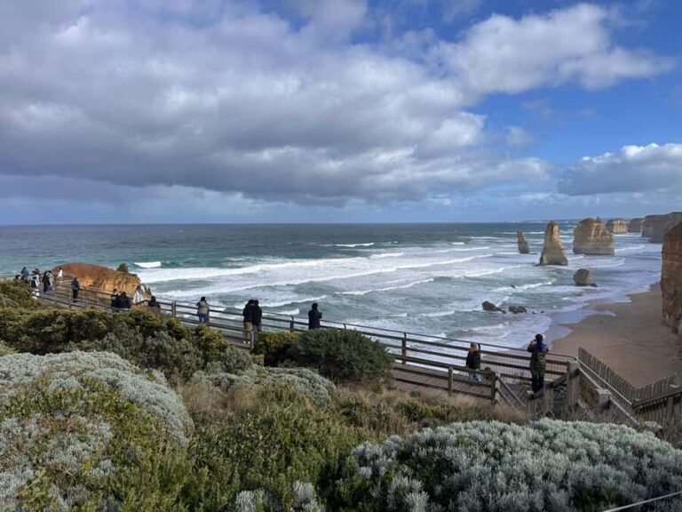 Port Campbell: Great Ocean Road & 12 Apostles Tour - The Experience Provider and Cost-Value Analysis