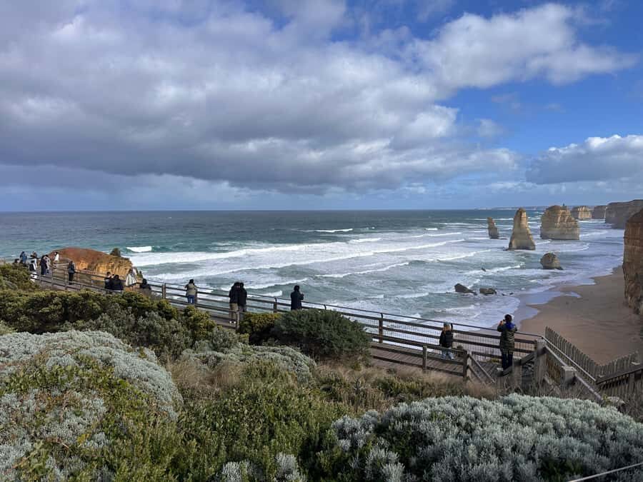 Port Campbell: Great Ocean Road & 12 Apostles Tour - The Experience Provider and Cost-Value Analysis
